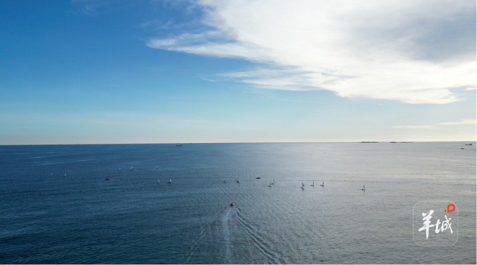 组冠军, 两周后 组冠军, 两周后